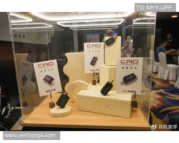 EDG青年赛背后的奋斗故事与成长历程全景回顾