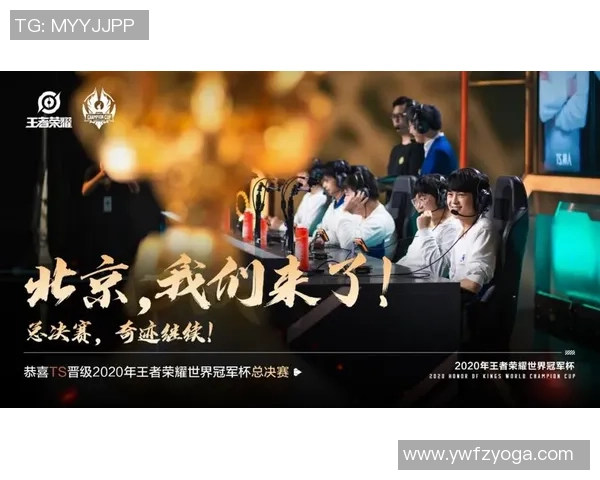 北京排球队总决赛之路：拼搏与荣耀交织的奋斗历程回顾