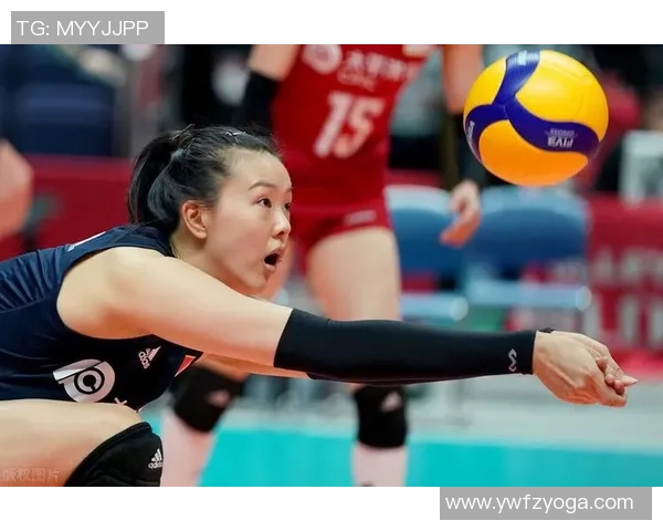 杭州排球队表现出色最新排球状态TOP10榜单揭晓